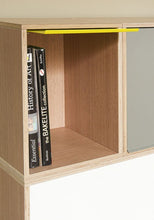 Load image into Gallery viewer, BrickBox Large Aluminum Door