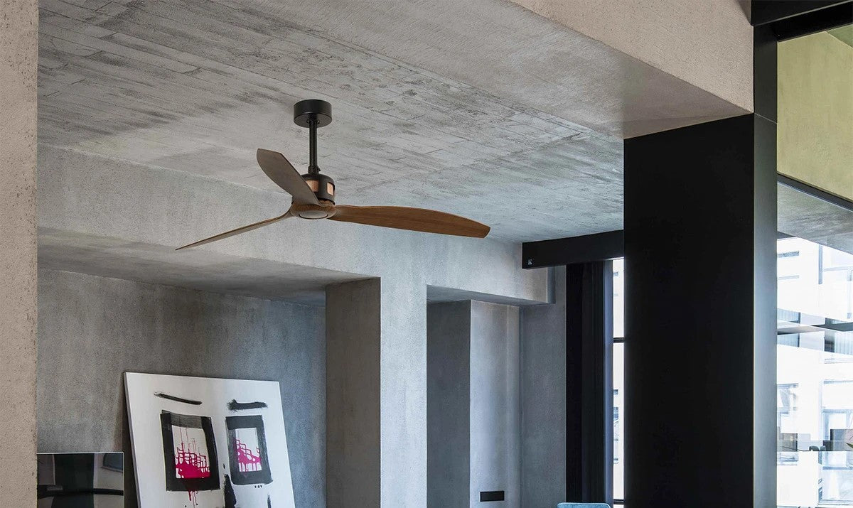 Fans & Technical Lighting